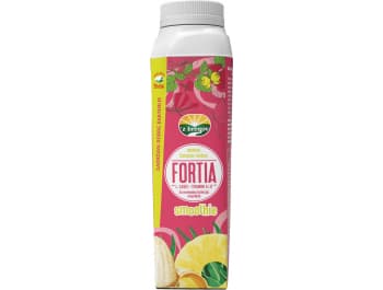 Vindija z´Bregov Fortia jogurt ananas banana kokos 330 g